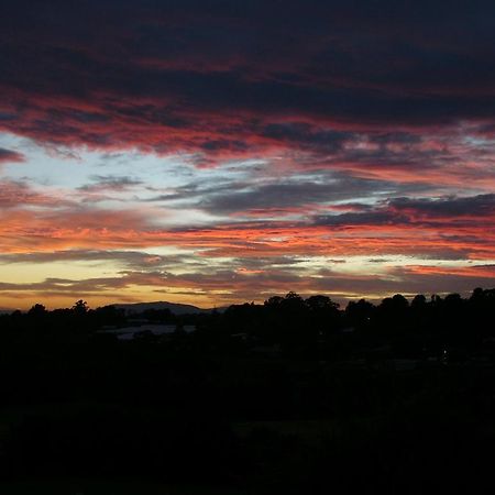 Eagle'S View Cottage - Yarra Valley Exterior photo