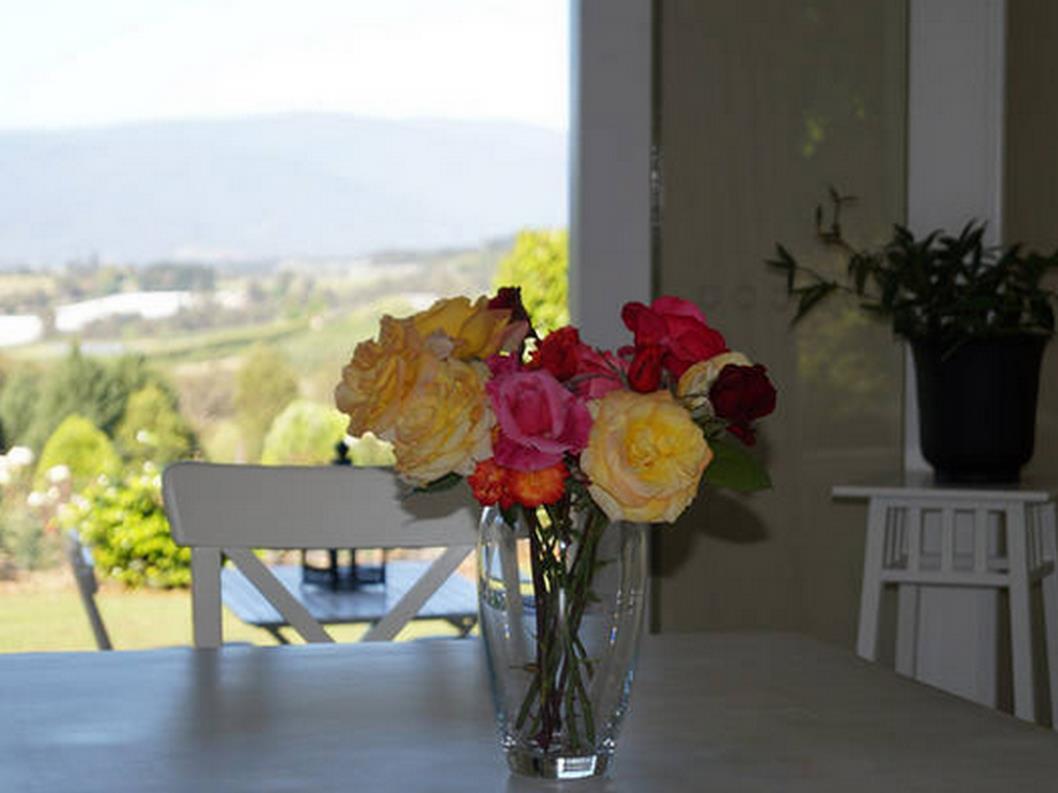 Eagle'S View Cottage - Yarra Valley Exterior photo