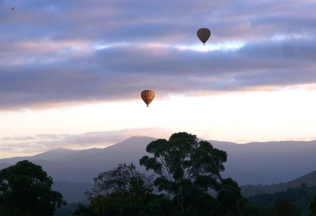 Eagle'S View Cottage - Yarra Valley Exterior photo